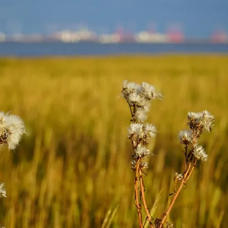 Haus Sternenstrand Apartamento